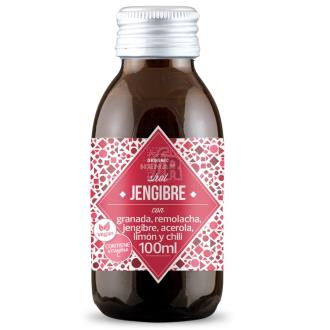 Kildespring Human Shots Jengibre 100 Ml Bio