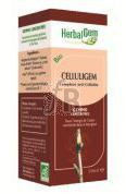 Corazgem 50 Ml.