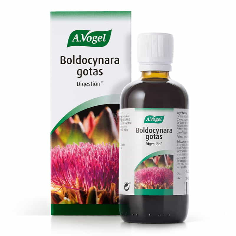 A Vogel Boldocynara Gotas 100 Ml. Bioforce