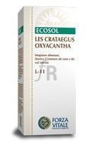 Les Crataegus Oxycanta Espino Albar 50 Ml. - Forza Vitale