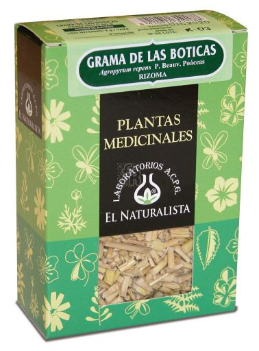 Grama Planta 60 Gr.