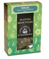 Nogal Planta 40 Gr.