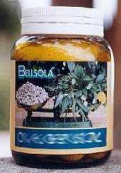 Hpt22 Hipersol 100 Comp.