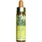 Cerato Plantis No 05 10 Ml.