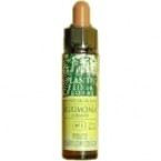 Gorse Plantis Nº 13 10 Ml. - Varios