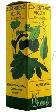 Ext.Echinacea S/Al 50Ml - Plameca