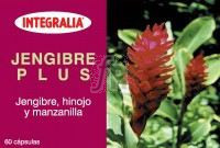 Jengibre Plus 60 Cap.  - Integralia