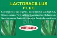 Lactobacillus Plus 60 Cap.  - Integralia