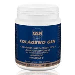 Colageno Gsn Con Acido Hialuronico Limon 340Gr.