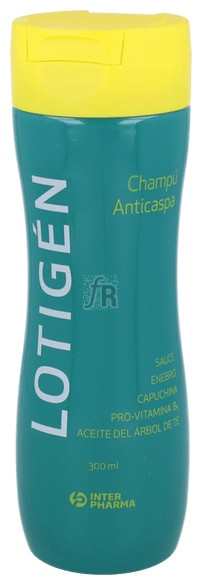 Lotigen Champú Anticaspa 300 Ml - Farmacia Ribera