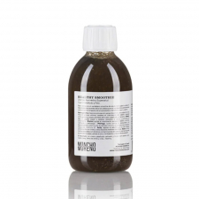 Moncho Moreno Healthy Smoothie 250 Ml