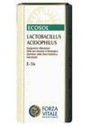Lacto 10 (Lactobacillus Acidophilus) 25 Gr.E-36