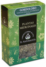Gordolobo Planta 35 Gr. - El Naturalista