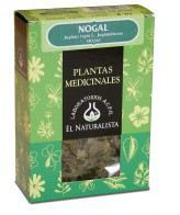 Nogal Planta 40 Gr. - El Naturalista