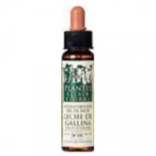 Wild Oat Plantis Nº 36 10Ml.