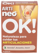 Artineo 45 Cap.