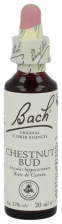 Chestnut Bud N.7 Gotas 20 Ml.
