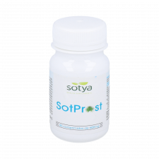 Sotya Sot Prost 80 Comp