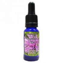 Phytovit Centaura Nigra Esencia Triunidad 15Ml.