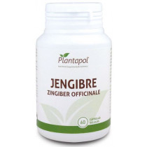 Jengibre 600Mg. 60 Cap.