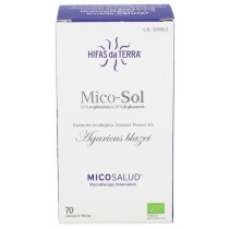 MICO- SOL Champiñón del Sol Hifas Da Terra