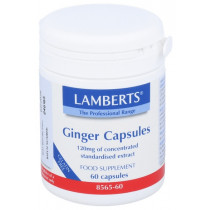 Lamberts Jengibre 120 Mg 60 Cápsulas 