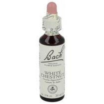 White Chestnut N.35 Gotas 20 Ml.