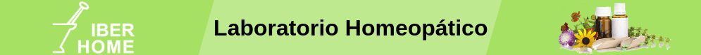 Iberhome